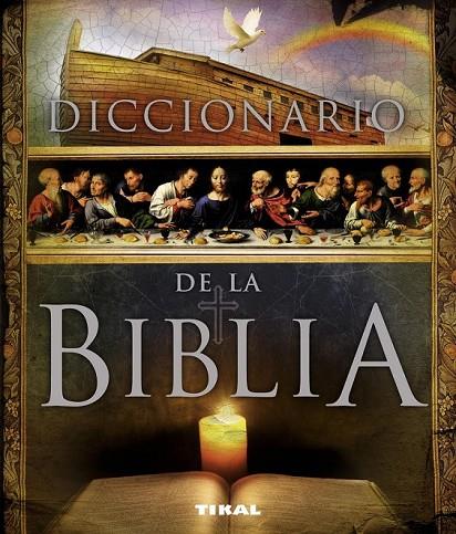 DICCIONARIO DE LA BIBLIA | 9788499282190 | BALASCH BLANCH, ENRIC/RUIZ ARRANZ, YOLANDA