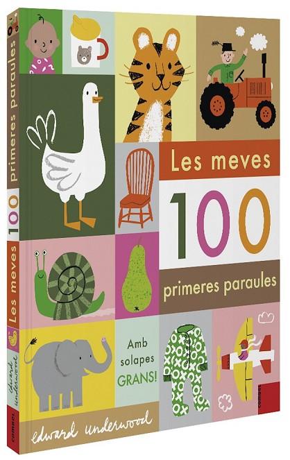 LES MEVES 100 PRIMERES PARAULES | 9788491015932