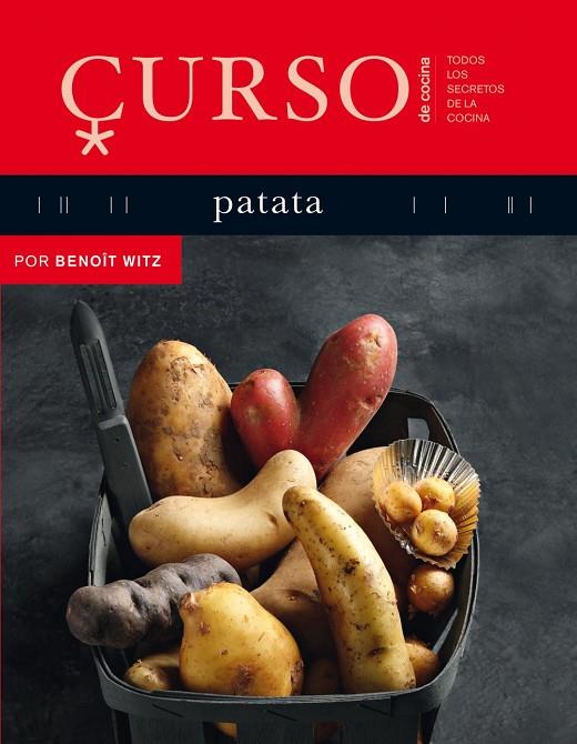 PATATA (CURSO DE COCINA) | 9788496669611 | WITZ, BENOIT
