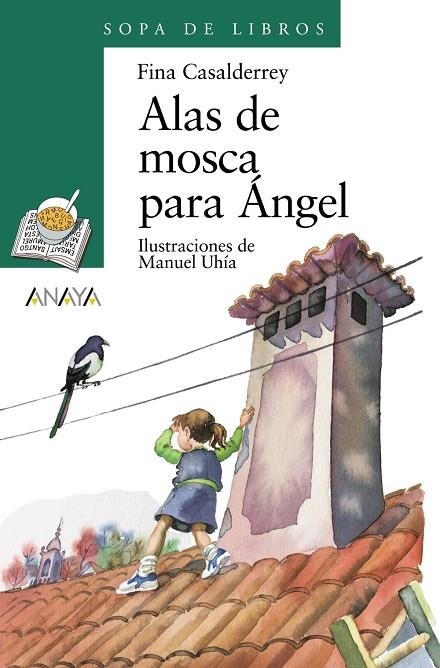 ALAS DE MOSCA PARA ANGEL (SL) | 9788420789873 | CASALDERREY, FINA