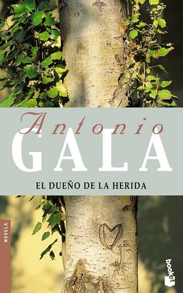 DUEÑO DE LA HERIDA EL | 9788408052159 | GALA ANTONIO