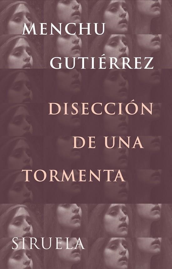 DISECCION DE UNA TORMENTA LT-199 | 9788478448319 | GUTIÉRREZ, MENCHU