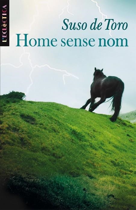 HOME SENSE NOM (ECLECTICA) | 9788498241020 | TORO, SUSO