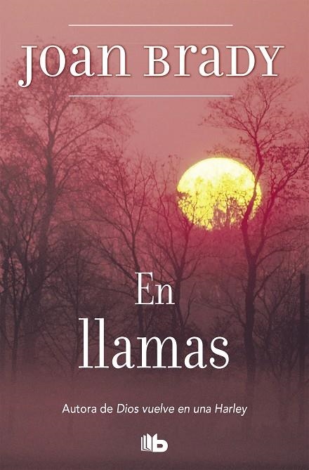 EN LLAMAS  -ZETA BOLSILLO- | 9788496581098 | BRADY, JOAN