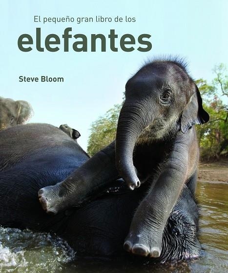 ELEFANTES. PEQUEÑO GRAN LIBRO (T/D) | 9788497543057 | BLOOM, STEVE