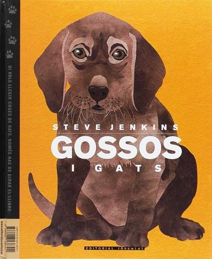 GOSSOS I GATS (INAFNTIL) | 9788426136701 | JENKINS, STEVE