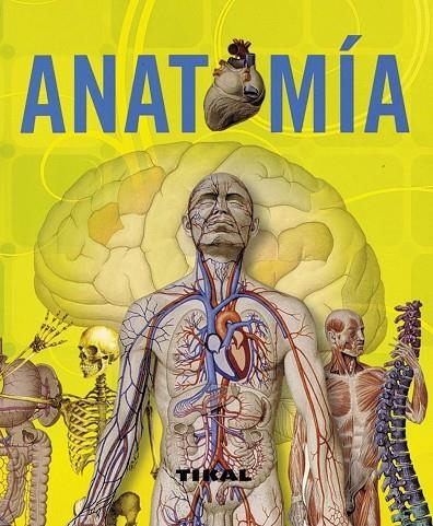 ANATOMIA. (ENCICLOPEDIA UNIVERSAL-TIKAL) | 9788499280011 | AA.VV