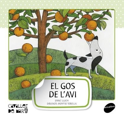 GOS DE L'AVI, EL (CAVALLET DE MAR) (PAL) | 9788415095507 | LLUCH, ENRIC - TOBELLA, MONTSE