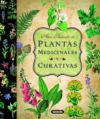 PLANTAS MEDICINALES Y CURATIVAS (ATLAS ILUSTRADO) REF.851-11 | 9788467712575