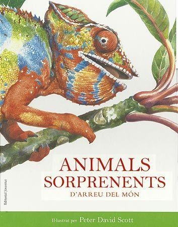 ANIMALS SORPRENENTS D'ARREU EL MON | 9788426138712 | DAVID SCOTT