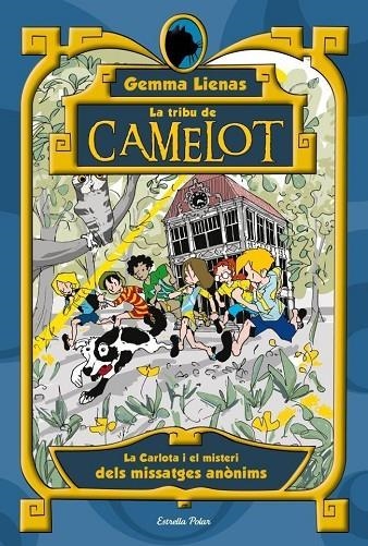 TRIBU DE CAMELOT VOL.8 MISTERI DELS MISSATGES ANONIMS | 9788499325286 | LIENAS, GEMMA