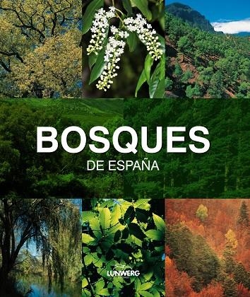 BOSQUES DE ESPAÑA (LUNWERG MEDIUM) | 9788497857482