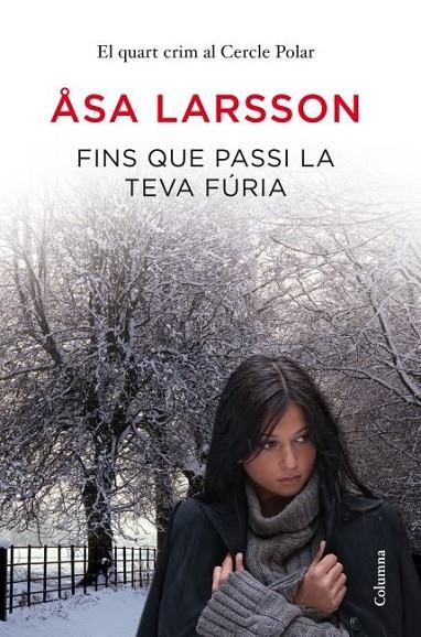 FINS QUE PASSI LA TEVA FÚRIA VOL.4 CERCLE POLAR (CLASSICA) | 9788466415064 | LARSSON, ASA