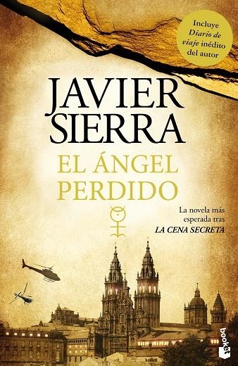 ANGEL PERDIDO (BOOKET) | 9788408007395 | SIERRA, JAVIER