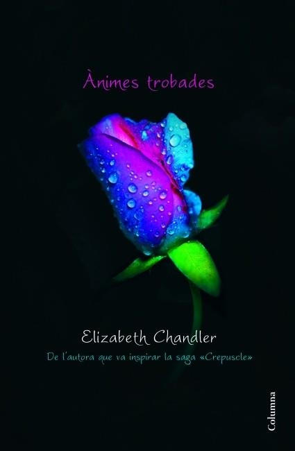 ÀNIMES TROBADES (CLASSICA) | 9788466415095 | CHANDLER, ELIZABETH