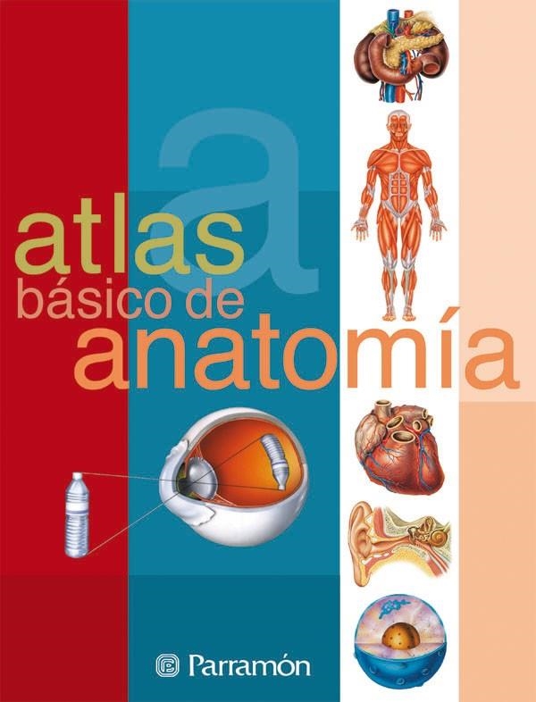 ATLAS BASICO DE ANATOMIA | 9788434223141