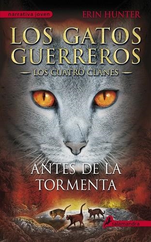 ANTES DE LA TORMENTA -IV- | 9788498385335 | HUNTER, ERIN