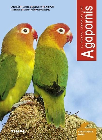 AGAPORNIS. NUEVO LIBRO (TIKAL) | 9788430535576 | SCHMIDT-ROGER, HEIKE