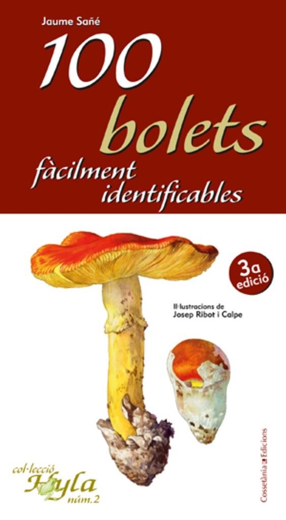 100 BOLETS FACILMENT IDENTIFICABLES | 9788497913836 | SAÑE,JAUME