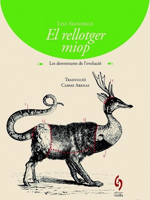 EL RELLOTGER MIOP | 9788494256424 | SIGNORILE, LISA