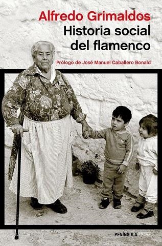 HISTORIA SOCIAL DEL FLAMENCO | 9788499423845 | ALFREDO GRIMALDOS