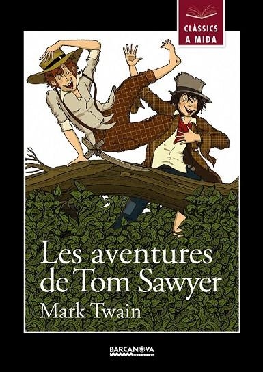 LES AVENTURES DE TOM SAWYER | 9788448930431 | TWAIN, MARK