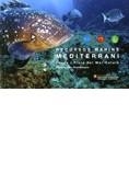 RECURSOS MARINS DEL MEDITERRANI. FAUNA I FLORA DEL MAR CATALÀ | 9788439377443 | LLORIS , DOMÈNEC/MESEGUER I BALLESTER, SERGI