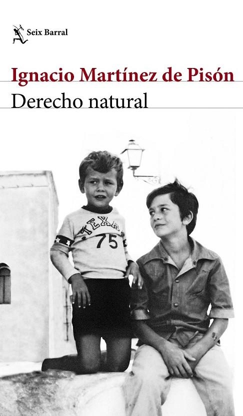 DERECHO NATURAL | 9788432232220 | IGNACIO MARTÍNEZ DE PISÓN