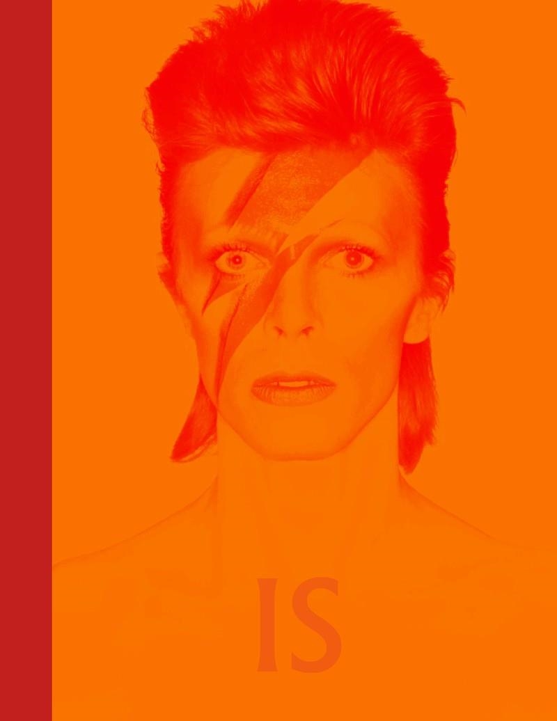 DAVID BOWIE IS INSIDE | 9788416665624 | BROACKES, VICTORIA/MARSH, GEOFFREY