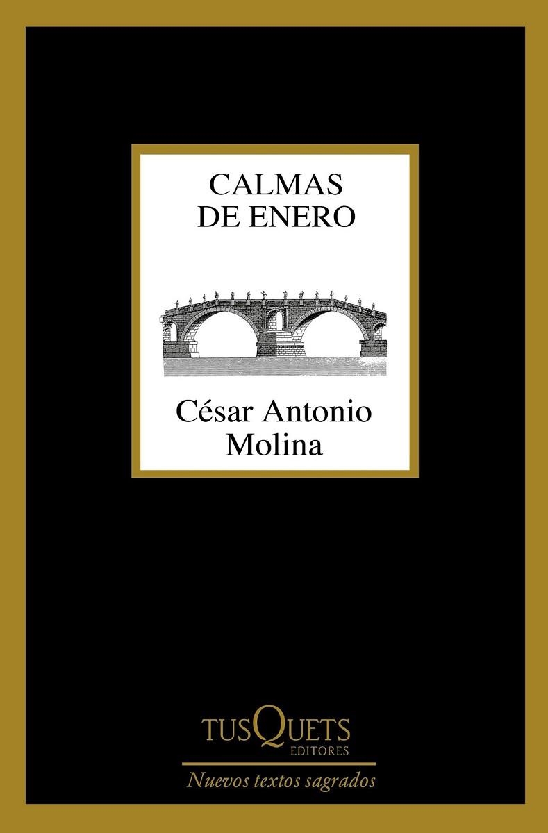 CALMAS DE ENERO | 9788490664704 | MOLINA, CÉSAR ANTONIO