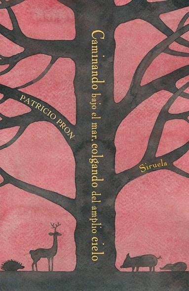 CAMINANDO BAJO EL MAR, COLGANDO DEL AMPLIO CIELO | 9788417151355 | PRON, PATRICIO