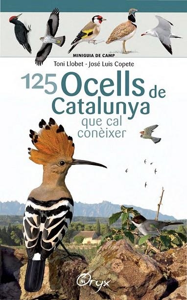 125 OCELLS DE CATALUNYA | 9788490346747 | LLOBET FRANÇOIS, TONI/COPETE, JOSÉ LUIS