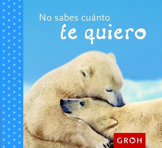 NO SABES CUÁNTO TE QUIERO | 9788490680162 | GROH