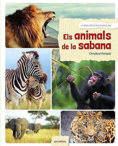 ELS ANIMALS DE LA SABANA | 9788416844524 | POMPÉÏ, CHRISTINE