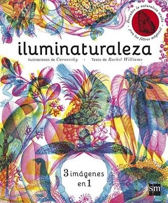 ILUMINATURALEZA | 9788467589955 | WILLIAMS, RACHEL