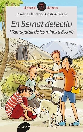 EN BERNAT DETECTIU I L'AMAGATALL DE LES MINES D'ES | 9788415095996