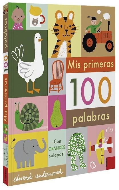 MIS PRIMERAS 100 PALABRAS | 9788491015949