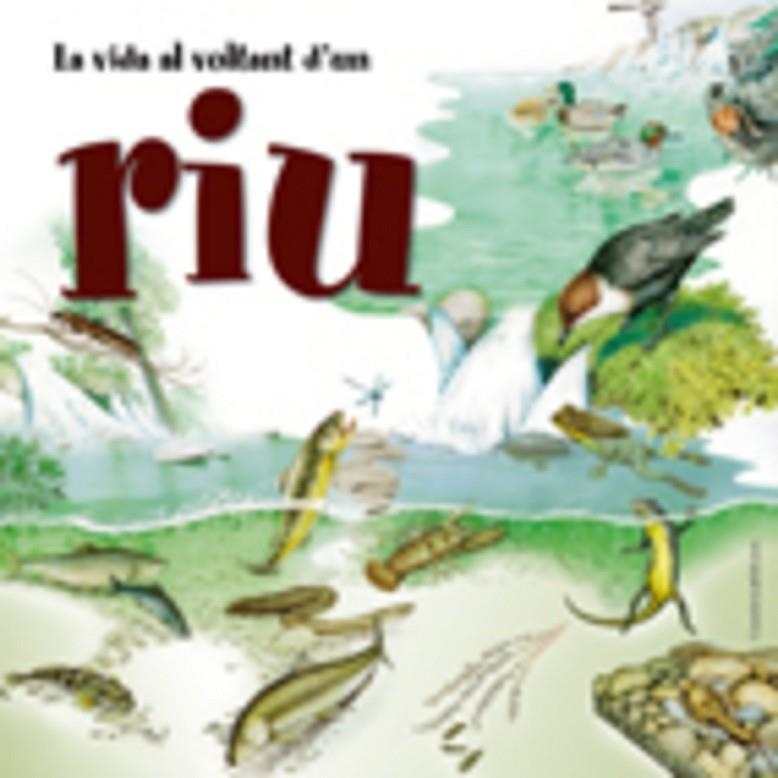 VIDA AL VOLTAN D'UN RIU, LA | 9788497913409