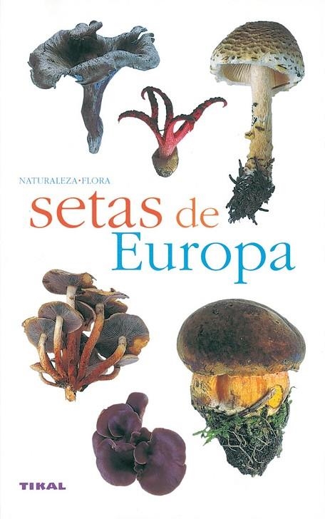 SETAS DE EUROPA | 9788430553358 | AA.VV.