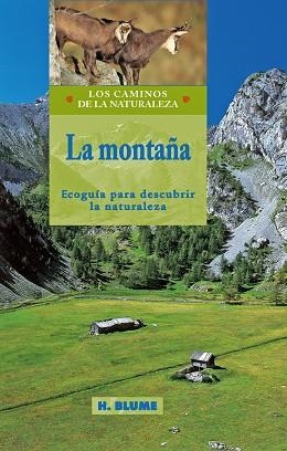 MONTAÑA, LA (CN) | 9788489840324 | AA.VV.