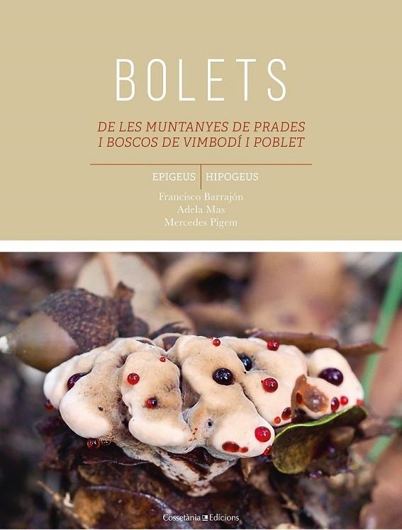 BOLETS DE LES MUNTANYES DE PRADES I BOSCOS DE VIMBODÍ I POBLET | 9788490347584 | BARRAJÓN IBÁÑEZ, FRANCISCO/PIGEM CIURANA, MARIA MERCEDES/MAS CARRE, ADELA