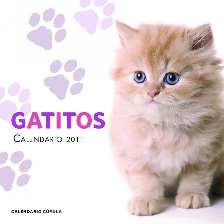 30 X 30 CALENDARIO GATITOS 2011 | 9788448068240 | AA. VV.