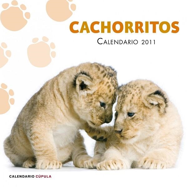 30 X 30 CALENDARIO CACHORRITOS 2011 | 9788448068257 | AA. VV.