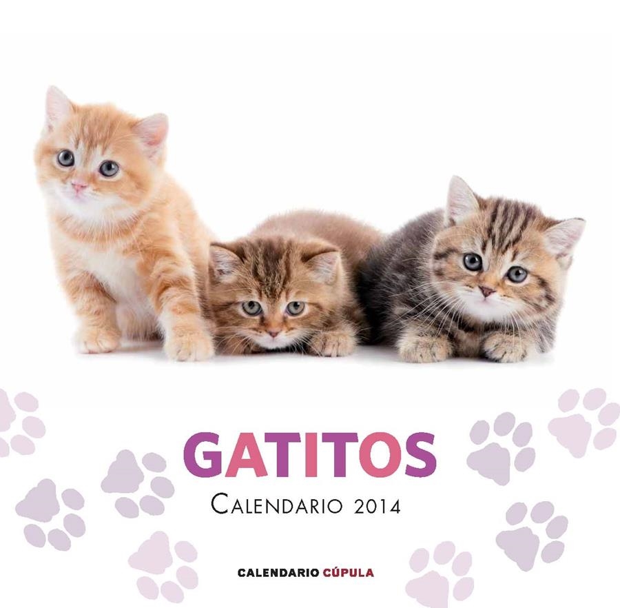 CALENDARIO 2014 - GATITOS | 9788448011680