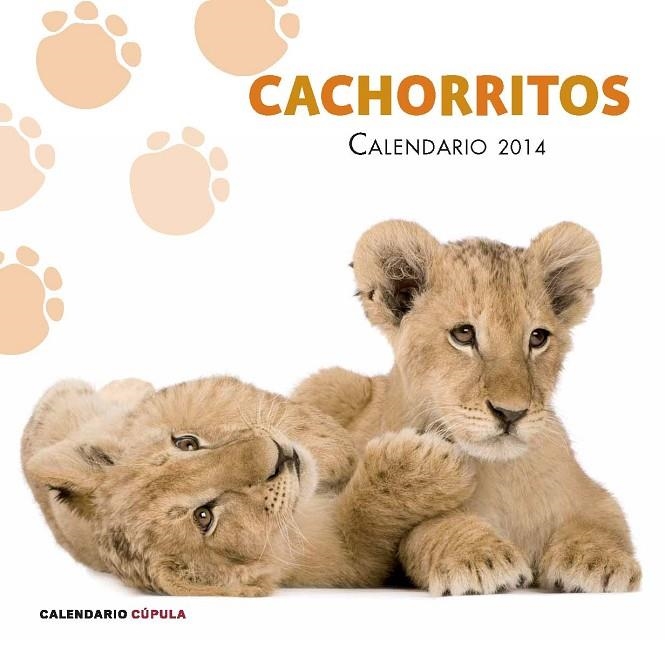 CALENDARIO CACHORRITOS 2014 | 9788448011741