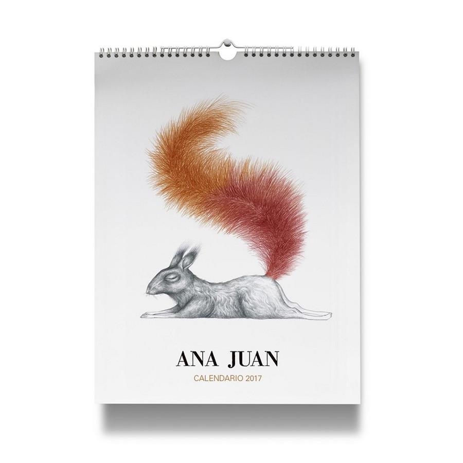 CALENDARIO ANA JUAN 2017 | 9788448022693 | ANA JUAN GASCON