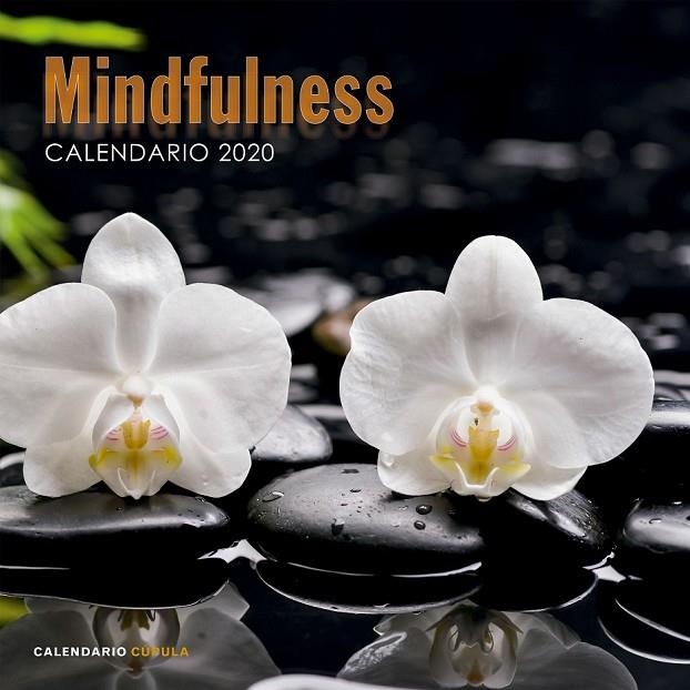 CALENDARIO MINDFULNESS 2020 | 9788448026110 | AA. VV.