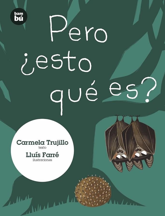 PERO ¿ESTO QUÉ ES? | 9788483435939 | FERNÁNDEZ TRUJILLO, CARMELA