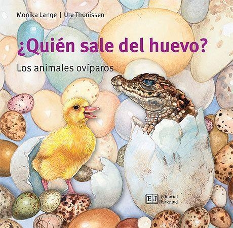 ¿QUIÉN SALE DEL HUEVO? | 9788426144072