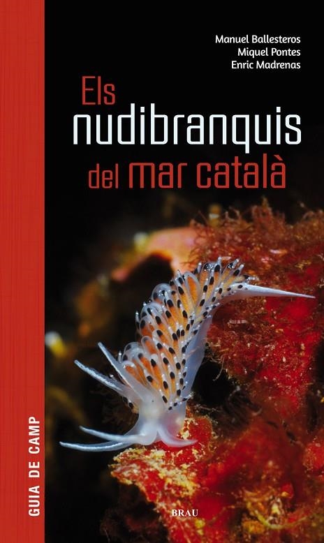 ELS NUDIBRANQUIS DEL MAR CATALÀ | 9788415885924 | BALLESTEROS VÁZQUEZ, MANUEL/PONTES GARCIA, MIQUEL/MADRENAS TOMÀS, ENRIC